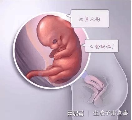 遗传阻断案例